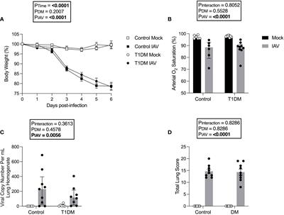 Type I Diabetes Mellitus Increases the Cardiovascular Complications of Influenza Virus Infection